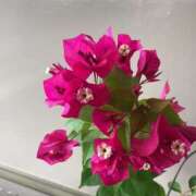 ヒメ日記 2025/10/09 06:39 投稿 あきら 倶楽部愛