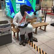 ヒメ日記 2025/10/17 06:35 投稿 あきら 倶楽部愛