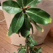 ヒメ日記 2025/12/05 06:43 投稿 あきら 倶楽部愛