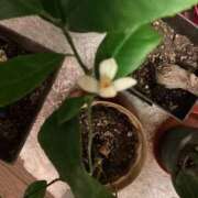 ヒメ日記 2026/01/09 06:37 投稿 あきら 倶楽部愛