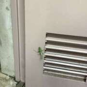 ヒメ日記 2026/10/04 06:51 投稿 あきら 倶楽部愛