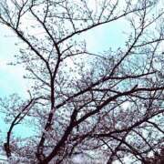 ヒメ日記 2025/04/08 17:30 投稿 みり One More奥様　横浜関内店