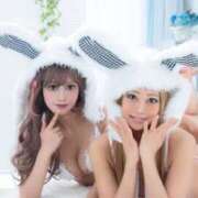 ヒメ日記 2025/02/15 20:43 投稿 新波リア(単体AV女優) プレイボーイ　アゲハ