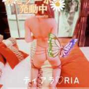 ヒメ日記 2025/10/29 21:14 投稿 新波リア(単体AV女優) プレイボーイ　アゲハ