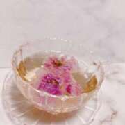 藤原ゆう いつもありがとうございます૮ • ﻌ - ა AJ DOLLS(エージェイドールズ)