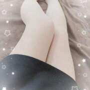 ヒメ日記 2026/02/11 15:20 投稿 朝日奈　みこと 柏OL委員会