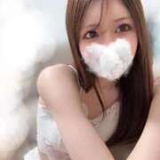 蒼乃　のあ 今週 柏OL委員会