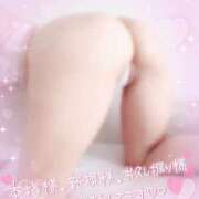 ヒメ日記 2025/04/28 14:10 投稿 麻美　めいさ 柏OL委員会