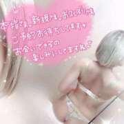 ヒメ日記 2025/04/29 14:10 投稿 麻美　めいさ 柏OL委員会