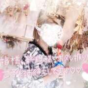 ヒメ日記 2025/04/30 13:50 投稿 麻美　めいさ 柏OL委員会