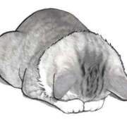 ヒメ日記 2025/10/29 12:20 投稿 麻美　めいさ 柏OL委員会