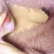 ヒメ日記 2026/03/19 07:10 投稿 麻美　めいさ 柏OL委員会