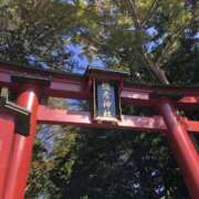 ヒメ日記 2026/10/11 11:40 投稿 麻美　めいさ 柏OL委員会