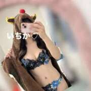 ヒメ日記 2025/11/17 10:02 投稿 いちか マリン千葉店