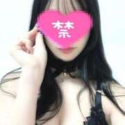 ヒメ日記 2025/03/29 13:00 投稿 朱音　ゆきな 柏OL委員会