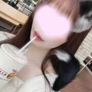 ヒメ日記 2025/05/16 05:50 投稿 朱音　ゆきな 柏OL委員会