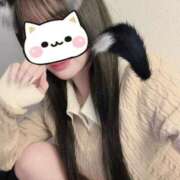 ヒメ日記 2026/02/21 14:40 投稿 朱音　ゆきな 柏OL委員会