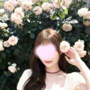 ヒメ日記 2026/04/01 14:01 投稿 朱音　ゆきな 柏OL委員会