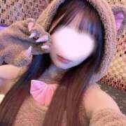 ヒメ日記 2026/04/10 12:20 投稿 朱音　ゆきな 柏OL委員会