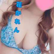 ヒメ日記 2026/09/25 11:10 投稿 立花　かれん 柏OL委員会