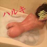 ヒメ日記 2025/07/17 16:51 投稿 はるき 夜這専門発情する奥様たち 谷九店