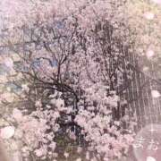 ヒメ日記 2025/03/28 16:25 投稿 まお 熟女の風俗最終章 西川口店