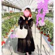 ヒメ日記 2026/02/07 09:22 投稿 まお 熟女の風俗最終章 西川口店