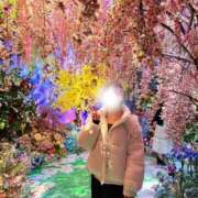 ヒメ日記 2025/11/18 11:09 投稿 はな 渋谷くいーんず