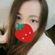 【みき】 急遽ですが バブルリングプラス