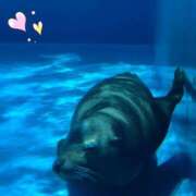 ヒメ日記 2025/07/30 15:27 投稿 かほ 阪神人妻花壇