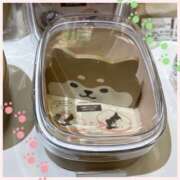 かほ 誘惑… 阪神人妻花壇