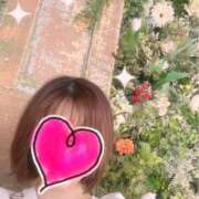 かほ こんにちは ♪ 阪神人妻花壇
