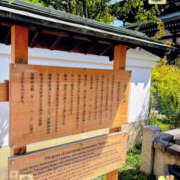 ヒメ日記 2026/09/21 14:24 投稿 かほ 阪神人妻花壇