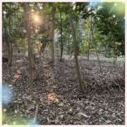 ヒメ日記 2025/03/24 14:11 投稿 かほ 神戸人妻花壇