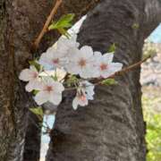 ヒメ日記 2025/04/20 13:46 投稿 かほ 神戸人妻花壇