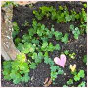 ヒメ日記 2025/05/16 13:00 投稿 かほ 神戸人妻花壇