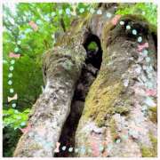 ヒメ日記 2025/05/27 15:28 投稿 かほ 神戸人妻花壇