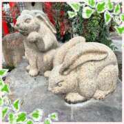 ヒメ日記 2025/05/29 13:26 投稿 かほ 神戸人妻花壇