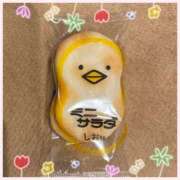 ヒメ日記 2025/06/02 13:46 投稿 かほ 神戸人妻花壇