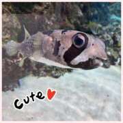 ヒメ日記 2025/06/26 12:18 投稿 かほ 神戸人妻花壇