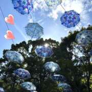 ヒメ日記 2025/06/28 16:41 投稿 かほ 神戸人妻花壇