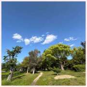 ヒメ日記 2025/07/08 15:02 投稿 かほ 神戸人妻花壇