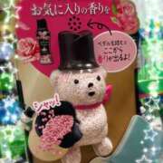 かほ クマさん ♪ 神戸人妻花壇