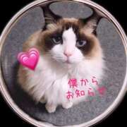 ヒメ日記 2025/01/27 16:59 投稿 あおい 横浜秘密倶楽部