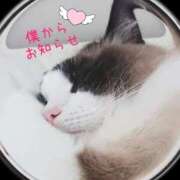 ヒメ日記 2025/02/07 09:30 投稿 あおい 横浜秘密倶楽部