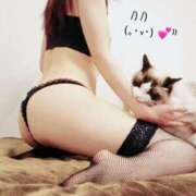 ヒメ日記 2025/02/17 12:04 投稿 あおい 横浜秘密倶楽部