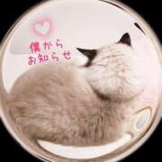 ヒメ日記 2025/02/25 13:30 投稿 あおい 横浜秘密倶楽部