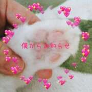 ヒメ日記 2025/03/07 13:30 投稿 あおい 横浜秘密倶楽部