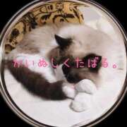 ヒメ日記 2025/03/18 18:02 投稿 あおい 横浜秘密倶楽部