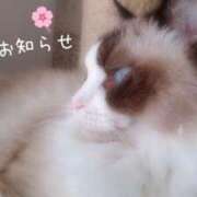 ヒメ日記 2025/03/22 12:16 投稿 あおい 横浜秘密倶楽部